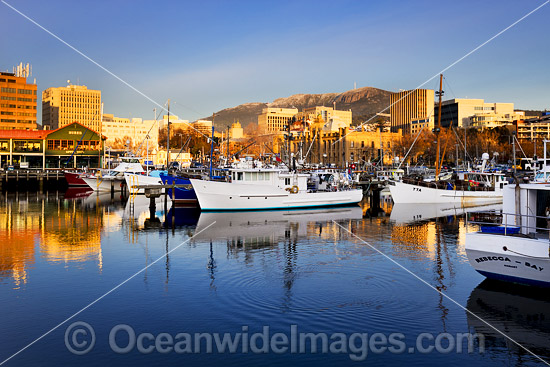 Constitution Dock Hobart Tasmania photo