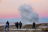 Blow Hole Bicheno Tasmania Photo - Gary Bell