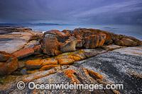 Bicheno Tasmania Photo - Gary Bell