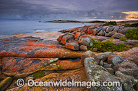 Bicheno Tasmania Photo - Gary Bell