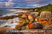 Bay of Fires Tasmania Photo - Gary Bell