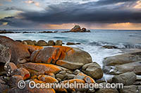 Picnic Rocks Tasmania Photo - Gary Bell