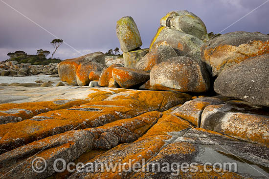 Lichen covered granite bouders at Binalong Bay, The Bay of Fires. Tasmania, Australia. Photo - Gary Bell