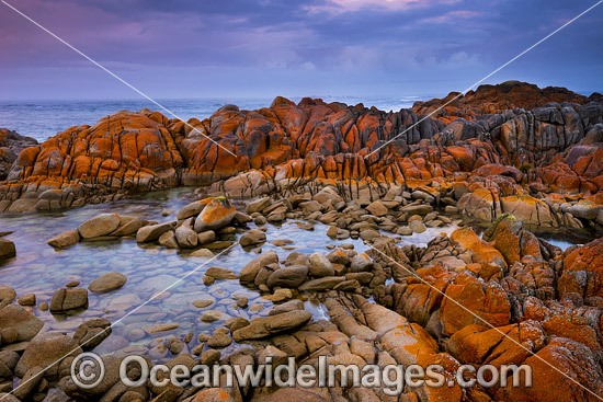 Pre-dawn at The Bay of Fires. Tasmania, Australia. Photo - Gary Bell