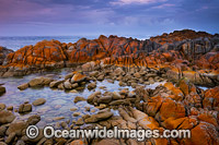 Bay of Fires Tasmania Photo - Gary Bell