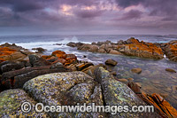 Bay of Fires Tasmania Photo - Gary Bell