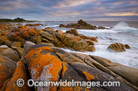 Bay of Fires Tasmania Photo - Gary Bell