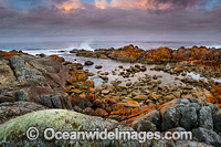 Bay of Fires Tasmania Photo - Gary Bell