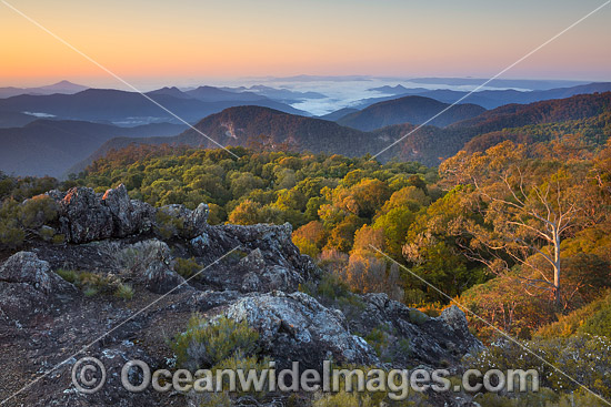 Wrights Lookout, New England National Park, New South Wales, Australia. This subtropical rainforest is inscribed on the World Heritage List in recognition of its outstanding universal value. Photo - Gary Bell