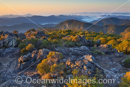 Wrights Lookout, New England National Park, New South Wales, Australia. This subtropical rainforest is inscribed on the World Heritage List in recognition of its outstanding universal value. Photo - Gary Bell