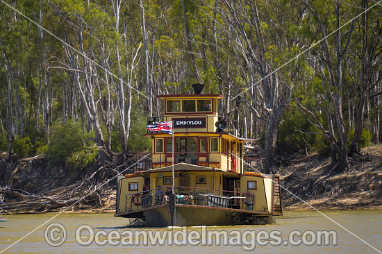 Historic wood fired paddlesteamer, PS Emmylou, cruising down the Murray River at Echuca, Victoria, Australia. Photo - Gary Bell Historic wood fired paddlesteamer, PS Emmylou, cruising down the Murray River at Echuca, Victoria, Australia. Photo - Gary Bell