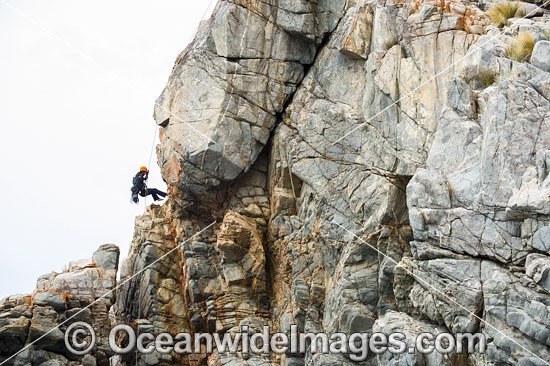 Rock Climbers Frecyenit National Park photo