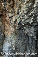 Rock Climbers Frecyenit National Park Photo - Gary Bell