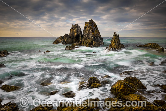 Camel Rocks Bermagui photo Camel Rocks Bermagui photo