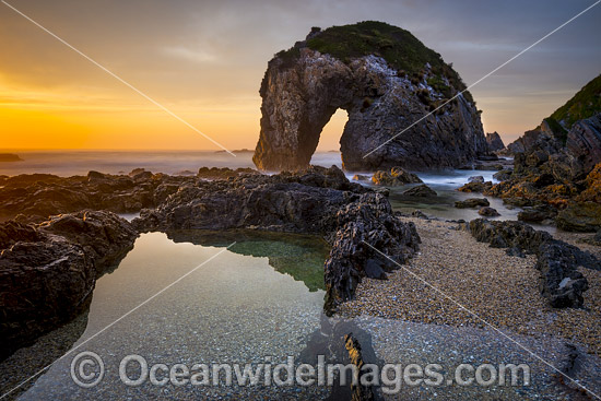 Horse Head Rock Bermagui photo