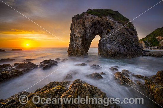 Horse Head Rock Bermagui photo