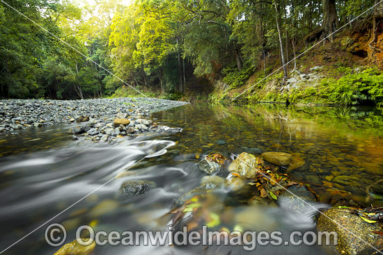 Never Never River, a rainforest stream situated in the Promised Land, near Bellingen, New South Wales, Australia. Photo - Gary Bell Never Never River, a rainforest stream situated in the Promised Land, near Bellingen, New South Wales, Australia. Photo - Gary Bell