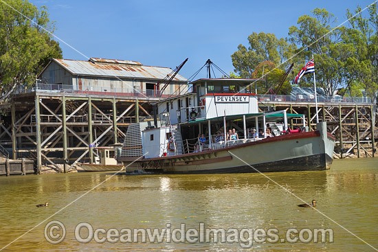 Historic paddlesteamer, PS Pevensey, cruising the Murray River after depating the historic Echuca Wharf, Echuca, New South Wales, Australia. Photo - Gary Bell
