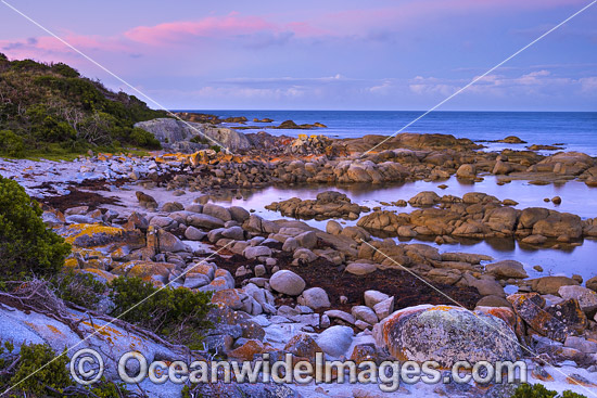 Pre Dawn at Eddystone Point. Mount William National Park, Bay of Fires, Tasmania, Australia. Photo - Gary Bell Pre Dawn at Eddystone Point. Mount William National Park, Bay of Fires, Tasmania, Australia. Photo - Gary Bell