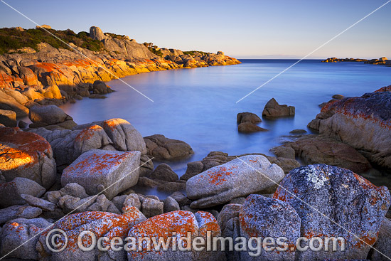 Eddystone Point Bay of Fires photo