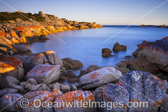 Dawn Sunrise at Eddystone Point. Mount William National Park, Bay of Fires, Tasmania, Australia. Photo - Gary Bell Dawn Sunrise at Eddystone Point. Mount William National Park, Bay of Fires, Tasmania, Australia. Photo - Gary Bell