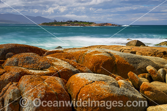 Lichen covered granite boulder coastline, showing Diamond Island. Bicheno, Tasmania, Australia. Photo - Gary Bell Lichen covered granite boulder coastline, showing Diamond Island. Bicheno, Tasmania, Australia. Photo - Gary Bell
