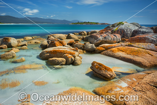 Lichen covered granite boulder coastline, showing Diamond Island. Bicheno, Tasmania, Australia. Photo - Gary Bell Lichen covered granite boulder coastline, showing Diamond Island. Bicheno, Tasmania, Australia. Photo - Gary Bell