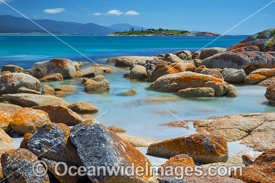 Lichen covered granite boulder coastline, showing Diamond Island. Bicheno, Tasmania, Australia. Photo - Gary Bell Lichen covered granite boulder coastline, showing Diamond Island. Bicheno, Tasmania, Australia. Photo - Gary Bell