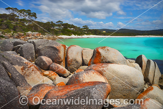 Lichen covered granite boulder coastline. Bay of Fires, Tasmania, Australia. Photo - Gary Bell Lichen covered granite boulder coastline. Bay of Fires, Tasmania, Australia. Photo - Gary Bell