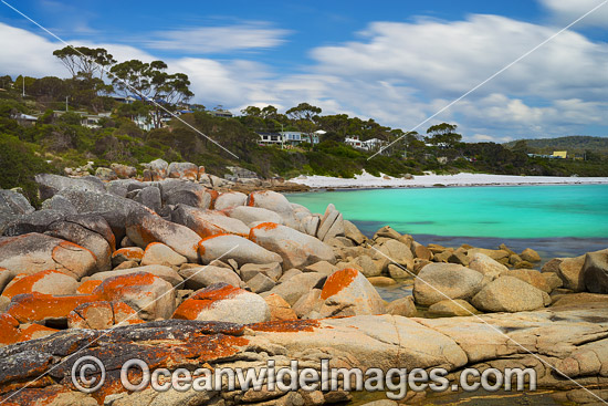 Lichen covered granite boulder coastline. Bay of Fires, Tasmania, Australia. Photo - Gary Bell Lichen covered granite boulder coastline. Bay of Fires, Tasmania, Australia. Photo - Gary Bell