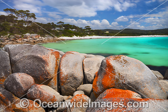 Lichen covered granite boulder coastline. Bay of Fires, Tasmania, Australia. Photo - Gary Bell Lichen covered granite boulder coastline. Bay of Fires, Tasmania, Australia. Photo - Gary Bell