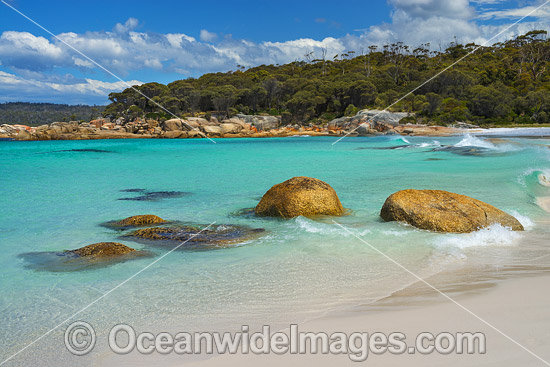 Lichen covered granite boulder coastline. Bay of Fires, Tasmania, Australia. Photo - Gary Bell Lichen covered granite boulder coastline. Bay of Fires, Tasmania, Australia. Photo - Gary Bell