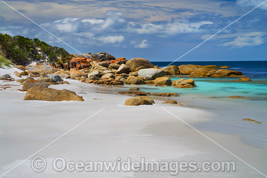 Lichen covered granite boulder coastline. Bay of Fires, Tasmania, Australia. Photo - Gary Bell Lichen covered granite boulder coastline. Bay of Fires, Tasmania, Australia. Photo - Gary Bell