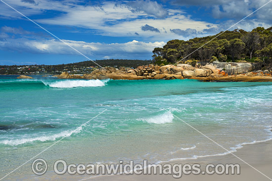 Lichen covered granite boulder coastline. Bay of Fires, Tasmania, Australia. Photo - Gary Bell Lichen covered granite boulder coastline. Bay of Fires, Tasmania, Australia. Photo - Gary Bell