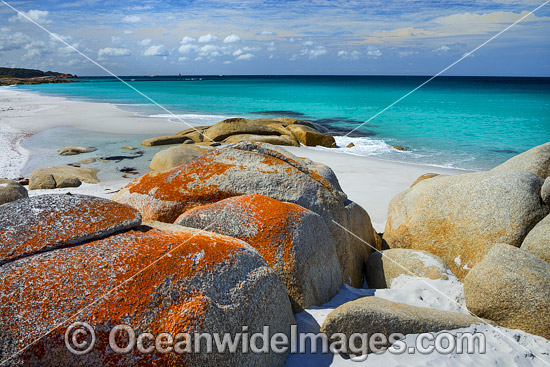 Lichen covered granite boulder coastline. Bay of Fires, Tasmania, Australia. Photo - Gary Bell Lichen covered granite boulder coastline. Bay of Fires, Tasmania, Australia. Photo - Gary Bell