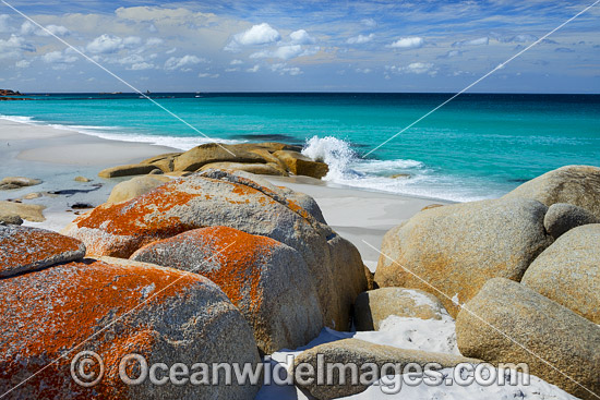 Lichen covered granite boulder coastline. Bay of Fires, Tasmania, Australia. Photo - Gary Bell Lichen covered granite boulder coastline. Bay of Fires, Tasmania, Australia. Photo - Gary Bell