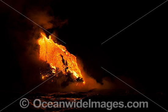 The Pahoehoe lava flowing from Kilauea Volcano has reached the Pacific Ocean near Kalapana, Big Island, Hawaii, Pacific Ocean, USA. Photo - David Fleetham The Pahoehoe lava flowing from Kilauea Volcano has reached the Pacific Ocean near Kalapana, Big Island, Hawaii, Pacific Ocean, USA. Photo - David Fleetham
