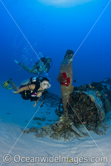 Divers exploring a WW II Corsair fighter plane off South-East Oahu, Hawaii, Pacific Ocean, USA. Photo - David Fleetham Divers exploring a WW II Corsair fighter plane off South-East Oahu, Hawaii, Pacific Ocean, USA. Photo - David Fleetham