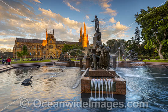 Archibald Fountain Sydney photo