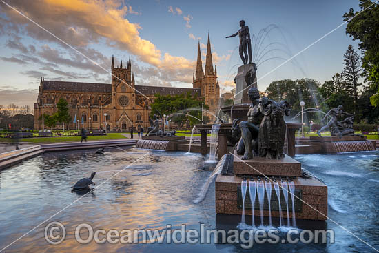 Archibald Fountain Sydney photo
