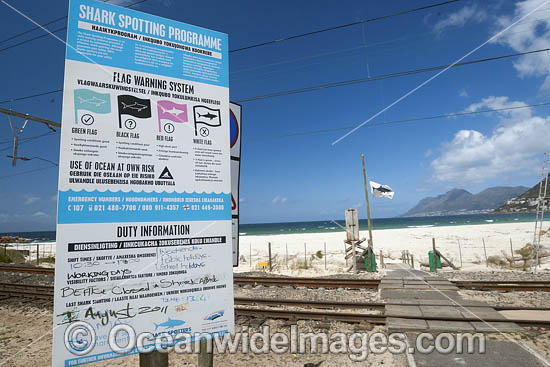 Beach Shark Spotters sightings board sign following a shark attack. Fish Hoek, South Africa. Photo - Chris & Monique Fallows Beach Shark Spotters sightings board sign following a shark attack. Fish Hoek, South Africa. Photo - Chris & Monique Fallows