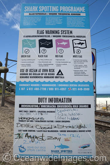 Beach Shark Spotters sightings board sign following a shark attack. Fish Hoek, South Africa. Photo - Chris & Monique Fallows Beach Shark Spotters sightings board sign following a shark attack. Fish Hoek, South Africa. Photo - Chris & Monique Fallows