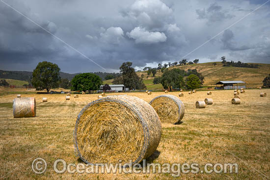 Hay Bales Country NSW photo