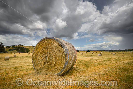 Hay Bales Country NSW photo