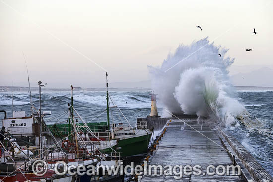Huge breaking wave photo