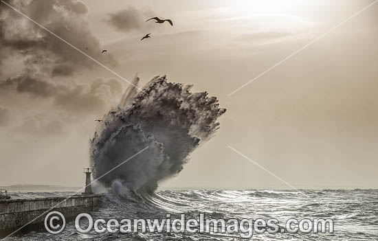 Huge breaking wave photo