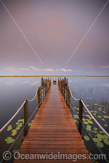 Jetty over the Okavango Delta, Botswana. Photo - Chris and Monique Fallows Jetty over the Okavango Delta, Botswana. Photo - Chris and Monique Fallows