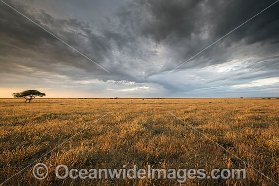 Namib Desert photo