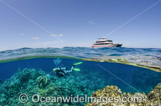 Under/over showing a Scuba Diver exploring a coral reef. Osprey Reef, Great Barrier Reef, Queensland, Australia. Photo - Bob Halstead