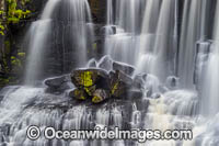 Ebor Falls Photo - Gary Bell